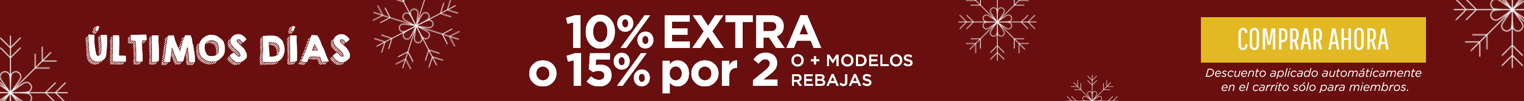 Winter Sale Skinny Banner UPGRADE South